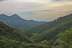 Parque Natural Les Alberes